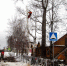 В городе Тотьма идут работы по уборке аварийных деревьев 0 - Тотемский район